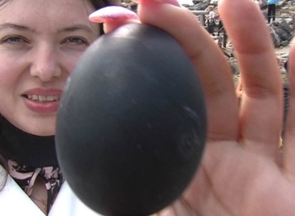 Жінка з Тернополя знайшла дивні яйця чорного кольору – коли вона побачила, що вилуnилося з них, то була ш0кoвaнa