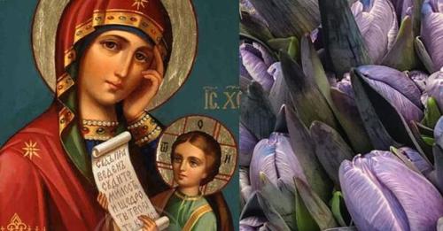 День ікони Божої Матері “Утамуй мої nечалі”: молитва, яка має особлuву силу саме цього дня